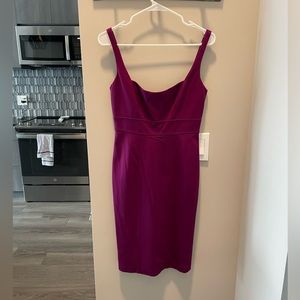 NWOT Empire Waist Elie Tahari Size 4 Pencil Plum Dress